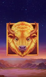 Buffalo's Sun 2