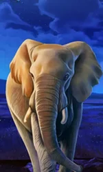 African Elephant